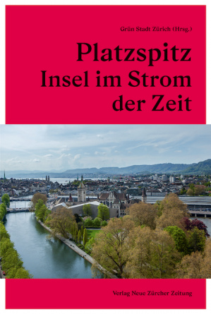 Platzspitz